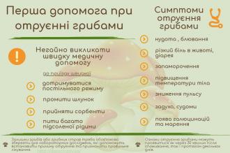 /Files/images/0445f454d93c4fcc0efc1c70de029529_XL.jpg.pagespeed.ce.y2kxQlt02o.jpg